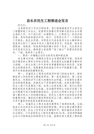 县长在民生工程推进会发言稿