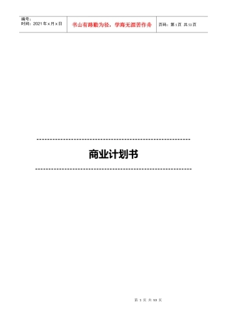 商业计划书实质版