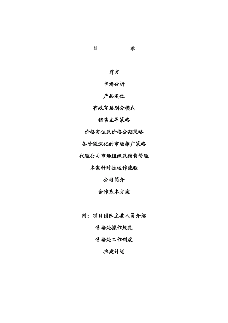 和平南苑策划报告_第1页