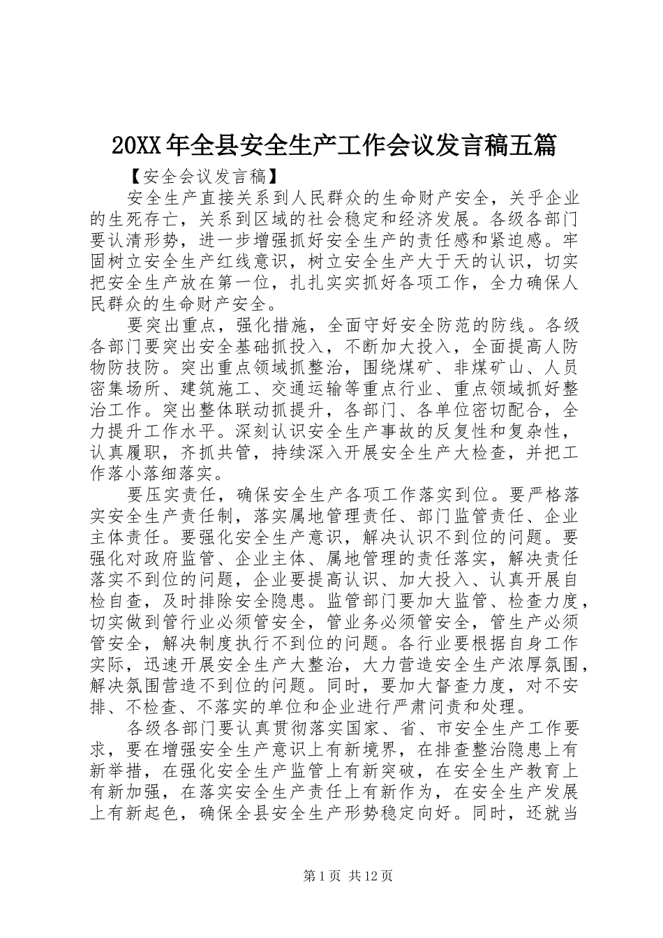 20XX年全县安全生产工作会议发言五篇_第1页