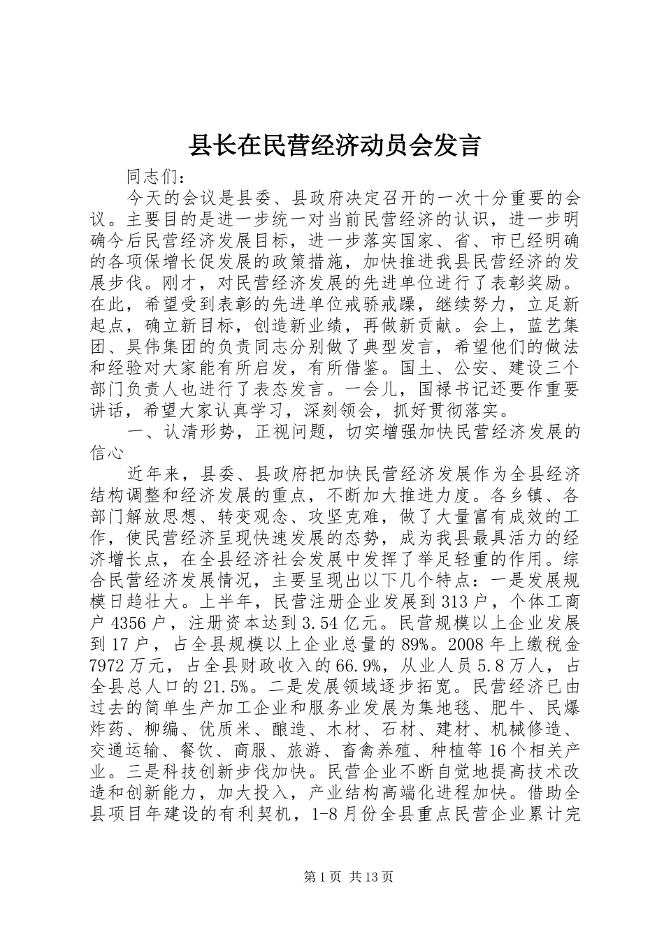 县长在民营经济动员会发言稿_第1页