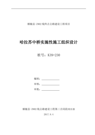 哈拉苏中桥实施性施工组织设计概述