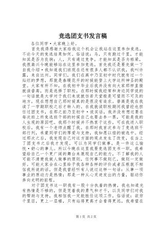 竞选团支书发言