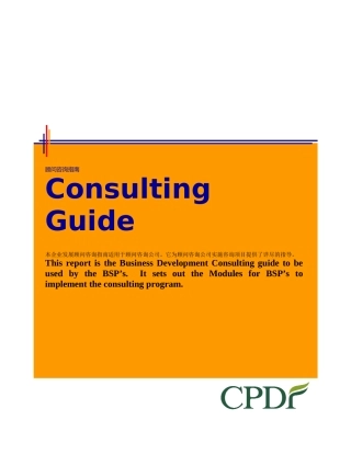 咨询顾问手册(doc 301页)(中英文)