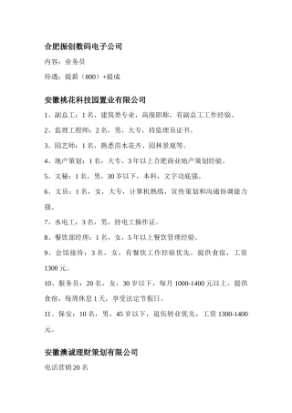 合肥振创数码电子公司