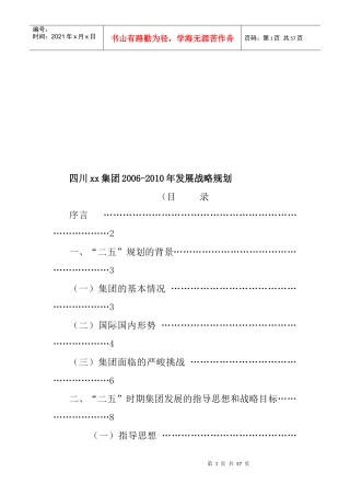 四川xx集团2006-某某年发展战略规划
