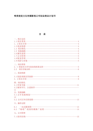 唯美视觉文化传媒影视公司创业商业计划书(35