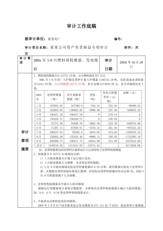 审计底稿-燃料消耗数量发电煤耗