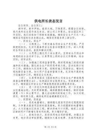 供电所长表态发言稿