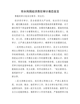 市水利局经济责任审计表态发言