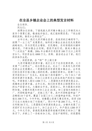 在全县乡镇企业会上的典型发言材料提纲