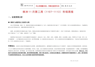 同策株洲项目市场报告