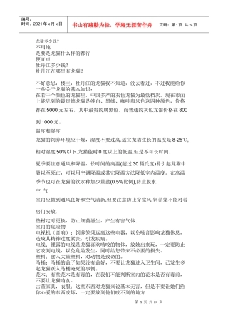 喂养龙猫的成本附图