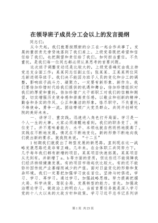 在领导班子成员分工会以上的发言提纲材料
