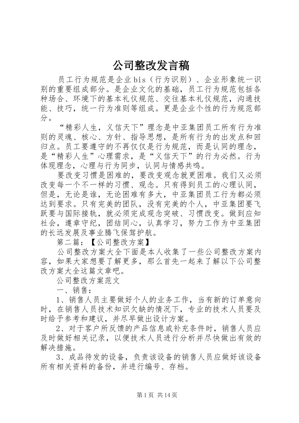 公司整改发言_第1页