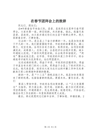 在春节团拜会上的致辞演讲范文