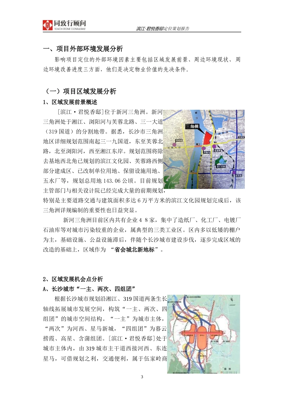 同致行-长沙滨江君悦香邸定位策划报告-100DOC-7.7M_第3页