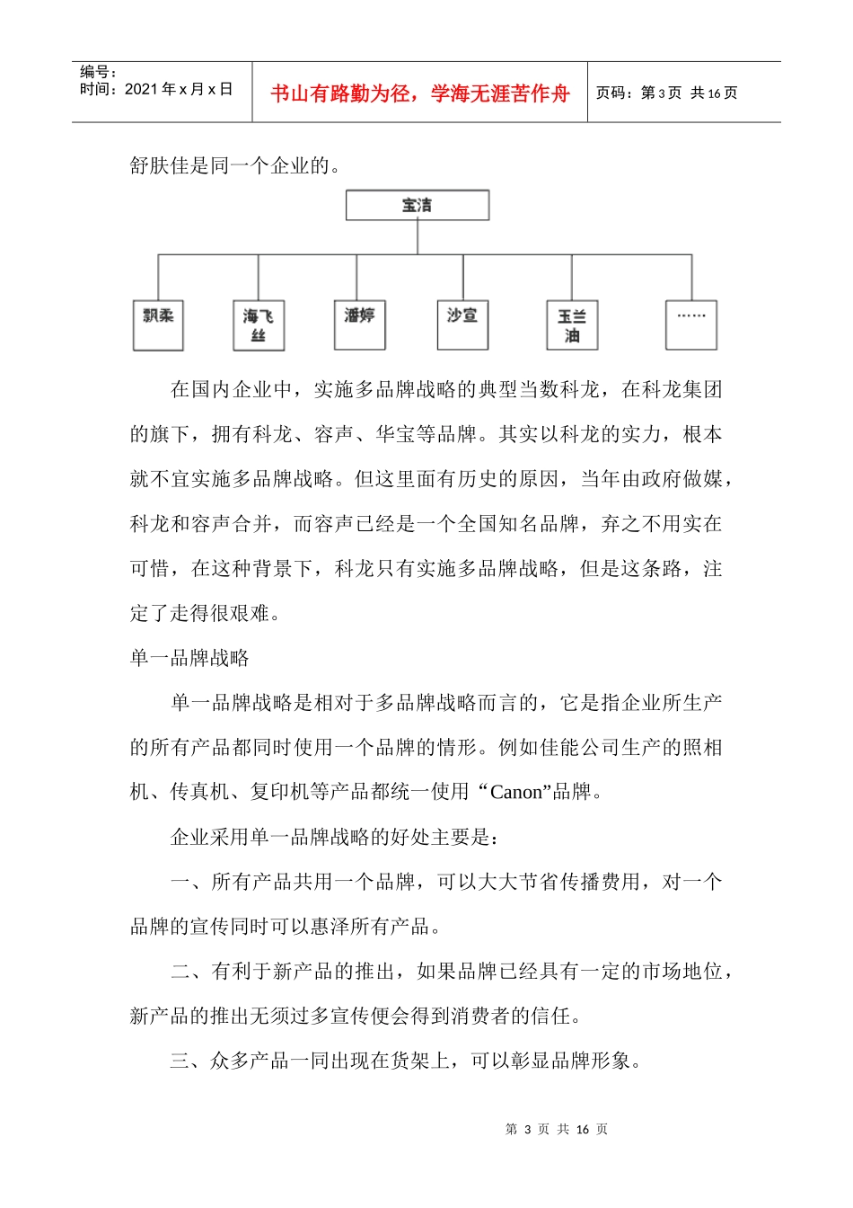 品牌战略规划_第3页