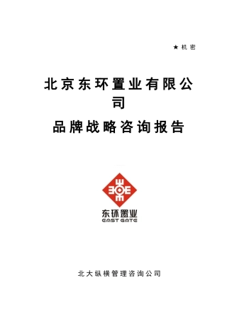 品牌战略咨询报告（左订）0813