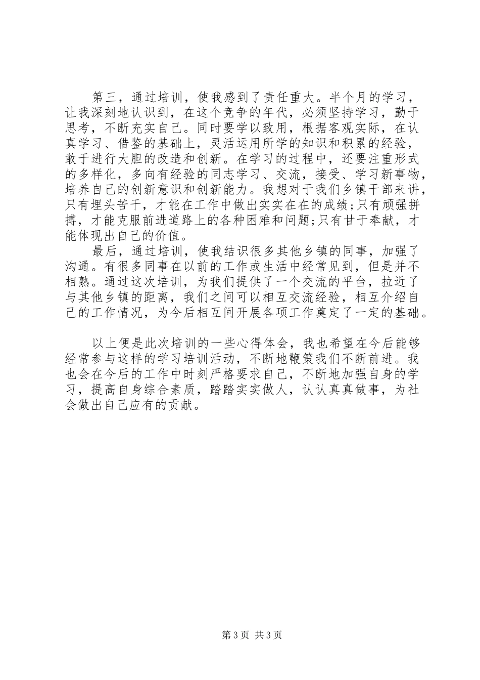 XX年乡镇干部研讨发言材料提纲_第3页