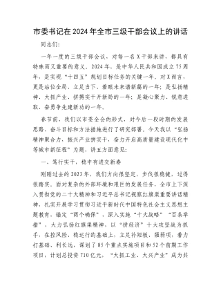 市委书记在2024年全市三级干部会议上的讲话
