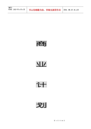 商业计划(软件公司)
