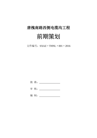 唐槐南路前期策划1