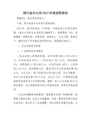 银行省分公司2023年度述职报告 (1)