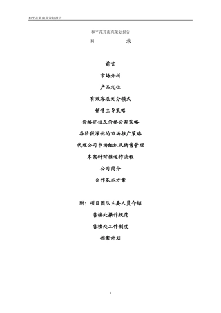 和平花园南苑策划报告