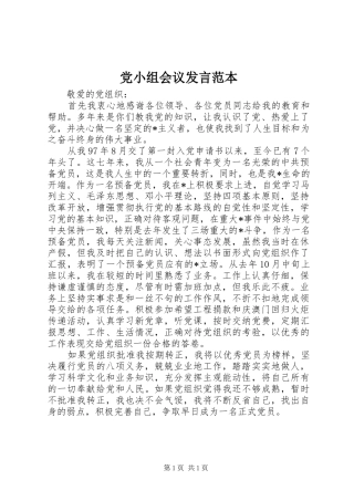 党小组会议发言稿范本