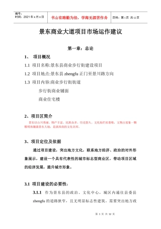 商业步行街项目运作建议