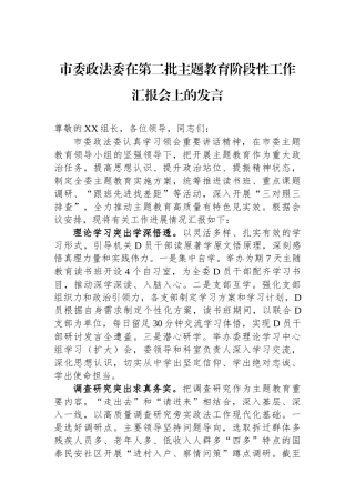 市委政法委在第二批主题教育阶段性工作汇报会上的发言