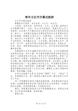 青年文化节开幕式演讲致辞范文
