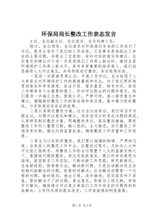 环保局局长整改工作表态发言稿