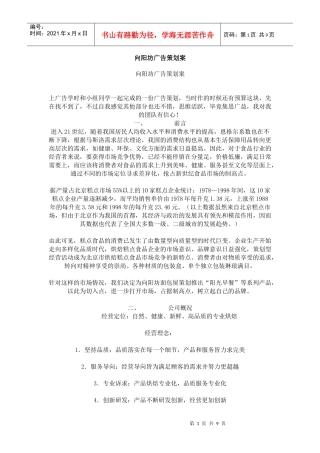 向阳坊广告策划方案