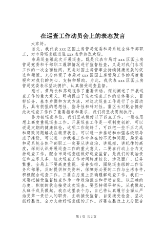 在巡查工作动员会上的表态发言稿