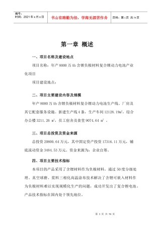 含锂负极材料复合锂动力电池产业化项目可研报告