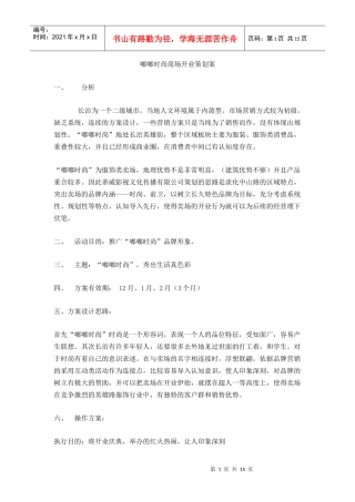 商场开业策划案