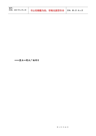 商业广场可行性报告