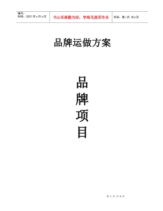 品牌运做方案最终版