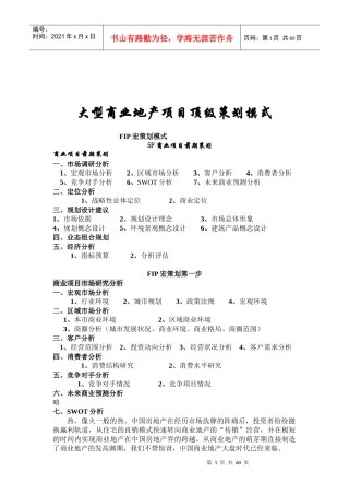 商业地产项目策划模式研究57页