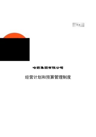 哈药集团经营计划与预算管理制度