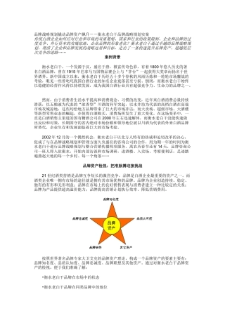 品牌战略规划撬动品牌资产飙升－－衡水老白干品牌战略规划实案(DOC 10)