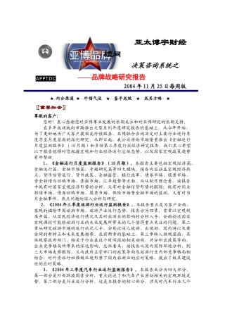 品牌战略研究报告