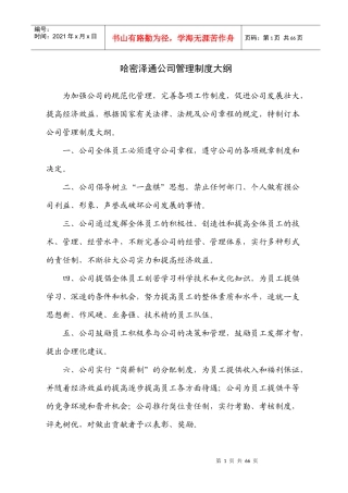 哈密泽通公司管理制度大纲