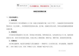 商务项目策划方案
