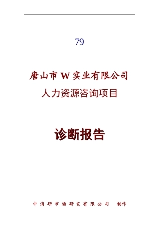 唐山市W实业有限公司人力资源咨询项目诊断报告(doc 24)