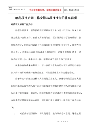 哈药项目后期工作安排与项目报告的补充说明