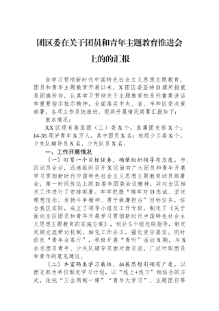 团区委在关于团员和青年主题教育推进会上的的汇报