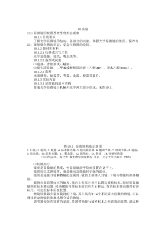 显微镜的使用及微生物形态观察实验